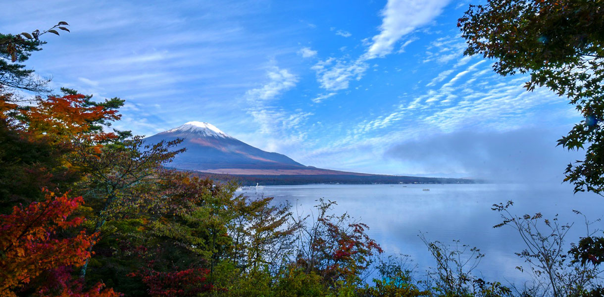 山中湖畔