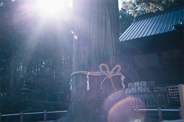 北口本宮冨士浅間神社