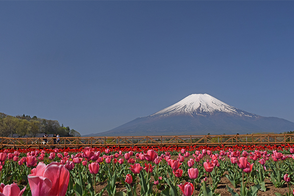 花の都公園