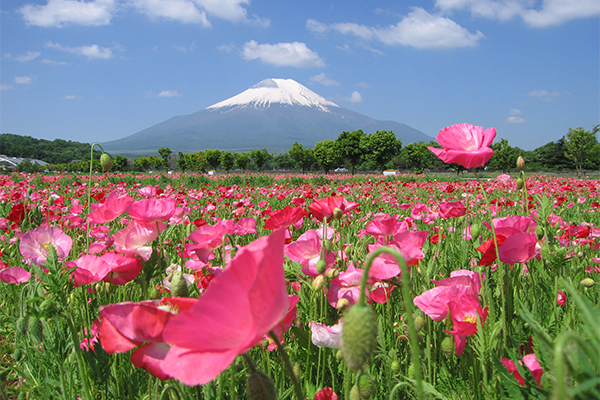 花の都公園