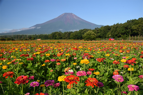 花の都公園