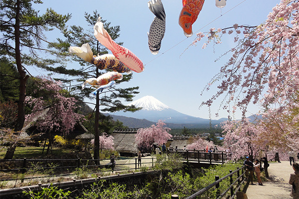 西湖いやしの里 根場（ねんば）