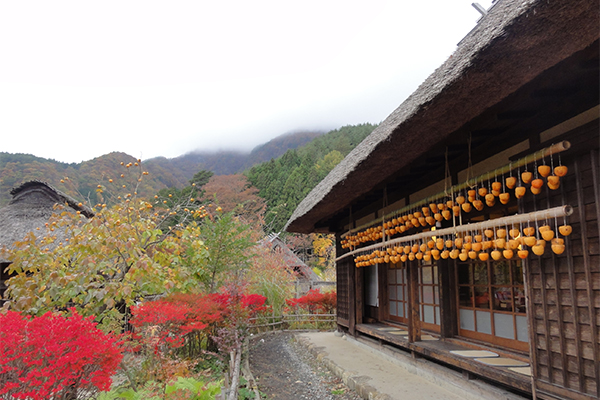 西湖いやしの里 根場（ねんば）