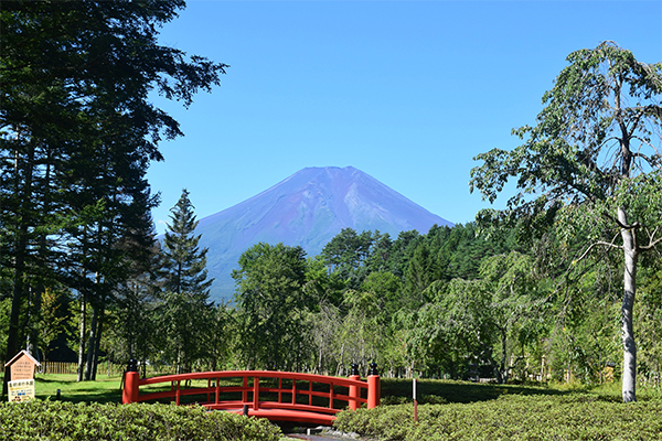 忍野 しのびの里